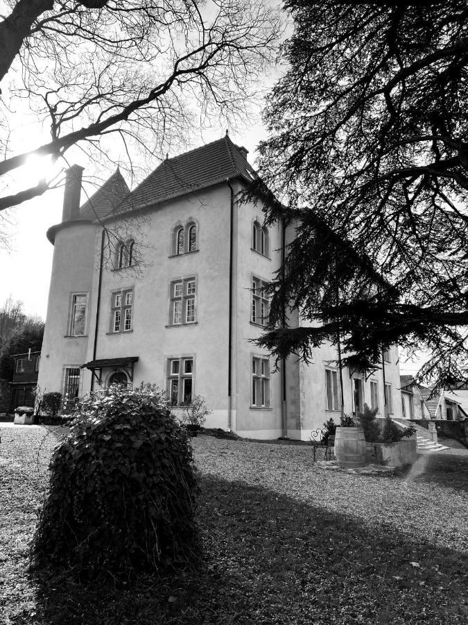 Bed And Breakfast Le Chateau De Morey Belleau Exterior photo